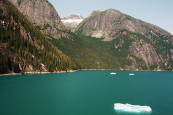 Фото 29. Tracy Arm Fjord — появляются первые льдины