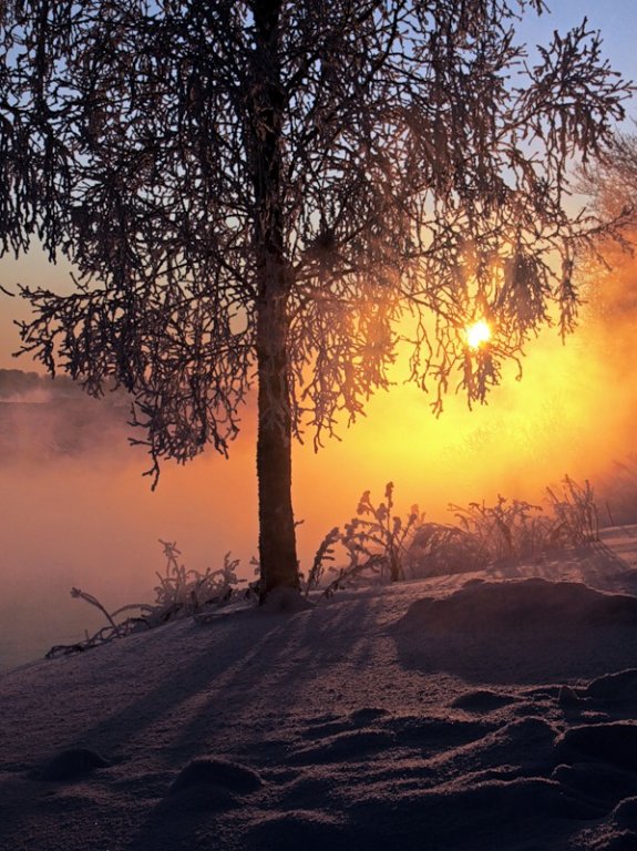 -28