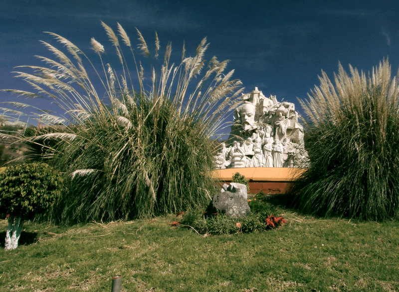 Cortaderia