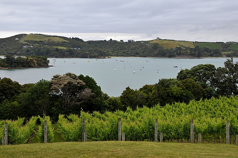   Waiheke