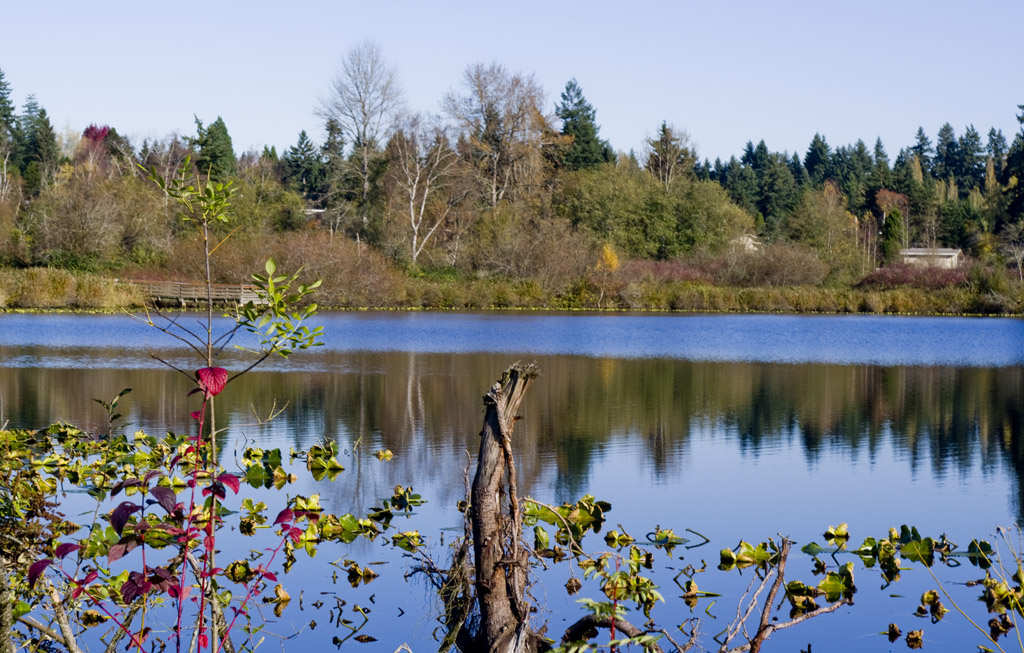 Larsen Lake