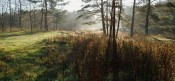 Утром в октябре