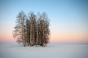 Зимний минимализм