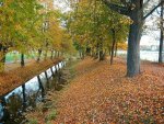 Осень в Петергофе