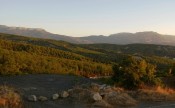 В утренних лучах