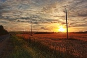 Вечер на обочине