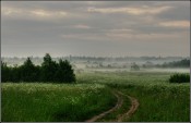 Утренние туманы.