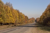Что такое осень ....