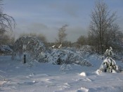 Морозный день