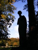 Iveagh gardens