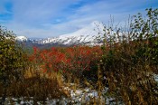 осень не за горами