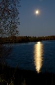 Лунная дорожка