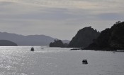 Bay of Islands. 