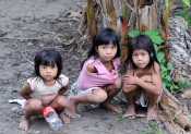 дети джунглей