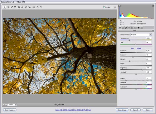 Photoshop Camera Raw 4.2