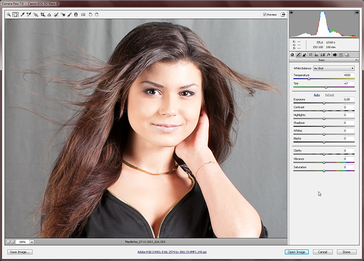 Adobe Camera RAW 7