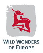 www.wild-wonders.com